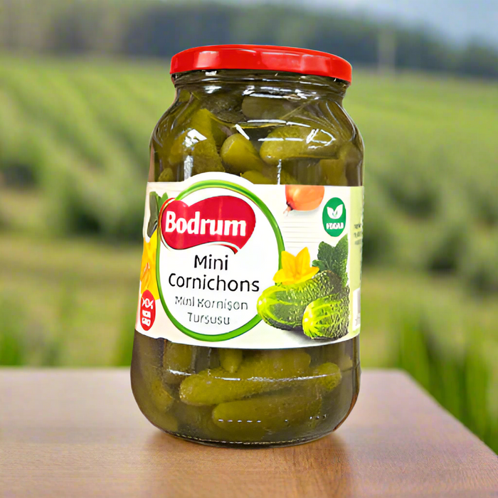 Bodrum Mini Cornichons (Kornison Tursusu) 480g