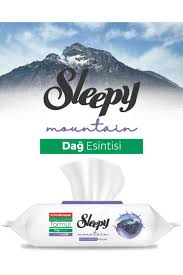 Sleepy Easy Clean Mountain Breeze Wipes 12x100 Bulk Pack | Best Grocery-1