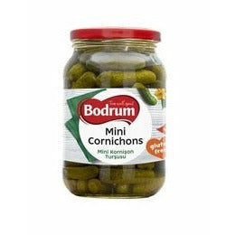 Görsel alt metni