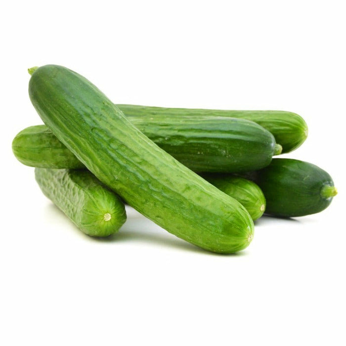 Fresh Cucumber ( Kucuk Salatalik )