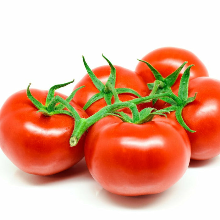 Fresh Vine Tomato (Salkim Domates)